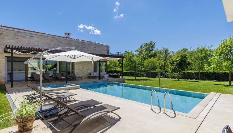 Photo 1 - Maison de 4 chambres à Sveti Petar u Šumi avec piscine privée et jardin