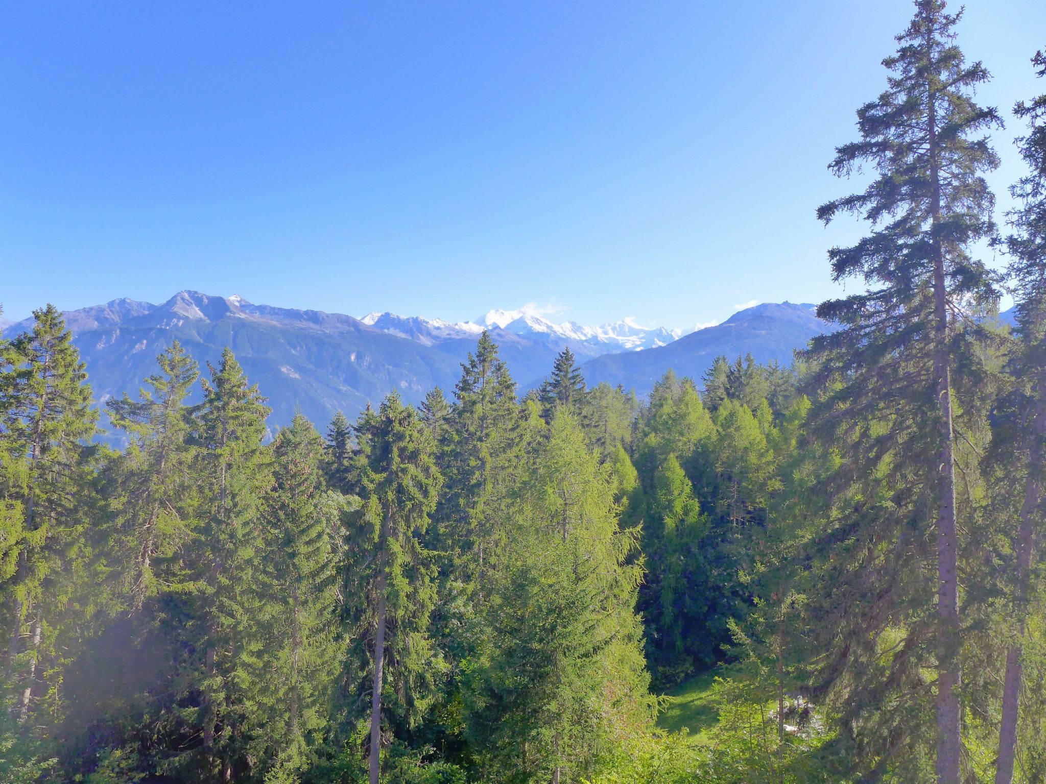 Foto 16 - Apartamento de 1 habitación en Crans-Montana con vistas a la montaña