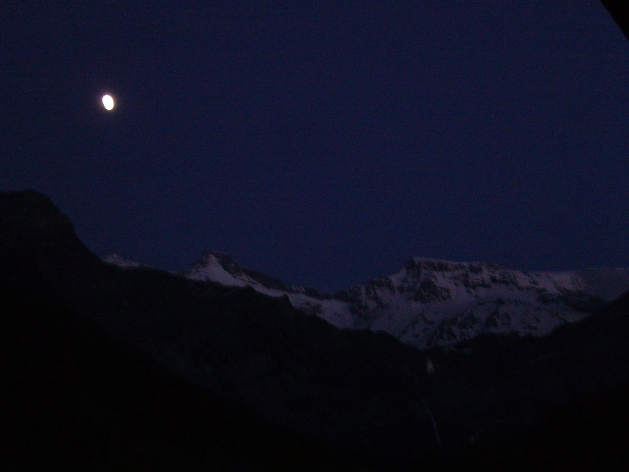 Foto 10 - Appartamento con 1 camera da letto a Adelboden con giardino