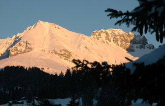 Foto 3 - Apartamento de 1 quarto em Adelboden com jardim