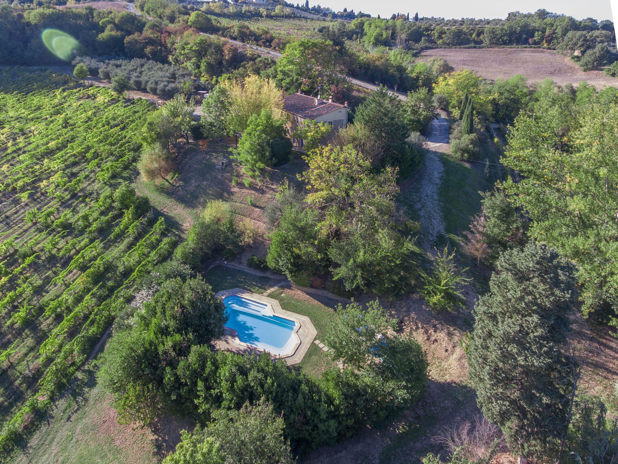 Foto 37 - Haus mit 6 Schlafzimmern in Gambassi Terme mit privater pool und garten