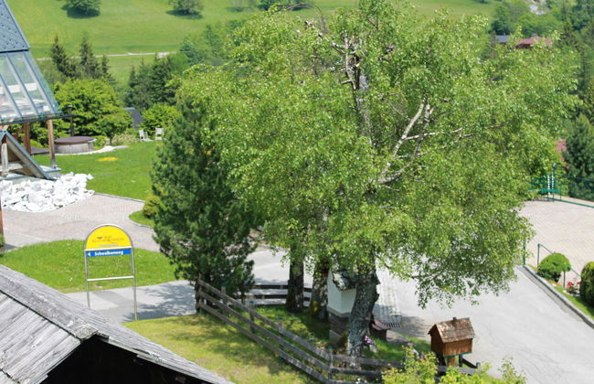 Apartamento de 4 quartos em Bad Kleinkirchheim com jardim e terraço - Foto 41