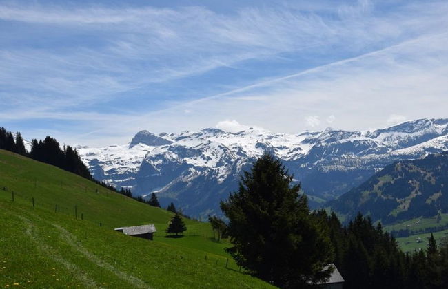 Alphütte Gibelhüttli - Foto 3