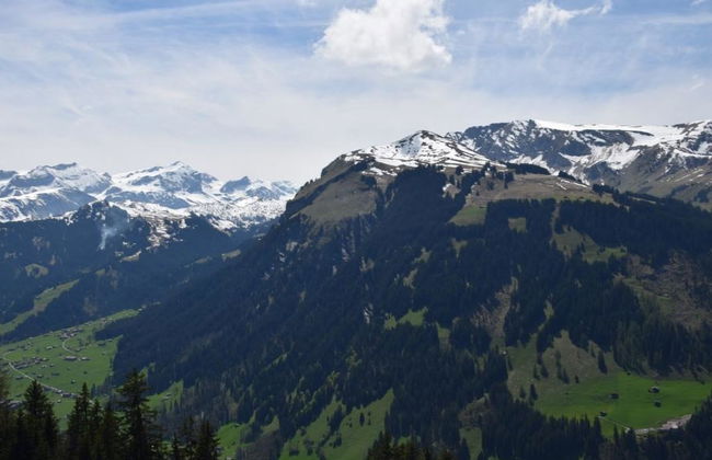 Alphütte Gibelhüttli - Foto 4