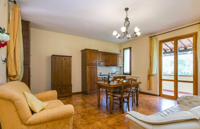 Rosa+Margherita+Lavanda+Ginestra+Gelsomi - Foto 14