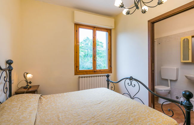 Rosa+Margherita+Lavanda+Ginestra+Gelsomi - Foto 21