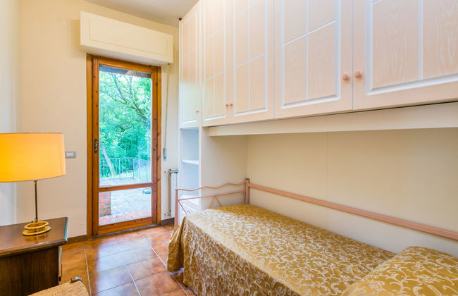 Rosa+Margherita+Lavanda+Ginestra+Gelsomi - Foto 26