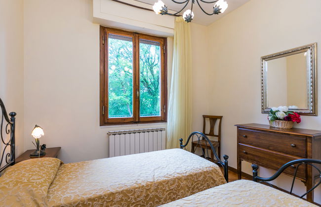 Rosa+Margherita+Lavanda+Ginestra+Gelsomi - Foto 24