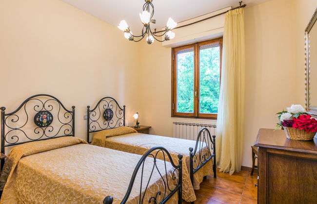 Rosa+Margherita+Lavanda+Ginestra+Gelsomi - Foto 17