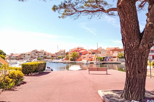 Photo 54 - 3 bedroom House in Le Barcarès with swimming pool and terrace