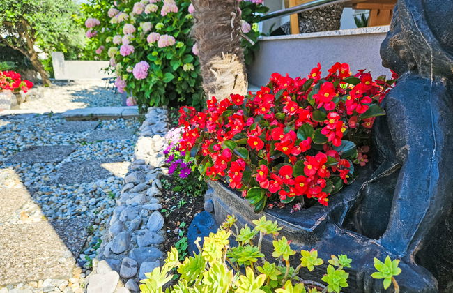Apartment mit 3 Schlafzimmern in Crikvenica mit garten und terrasse - Foto 25