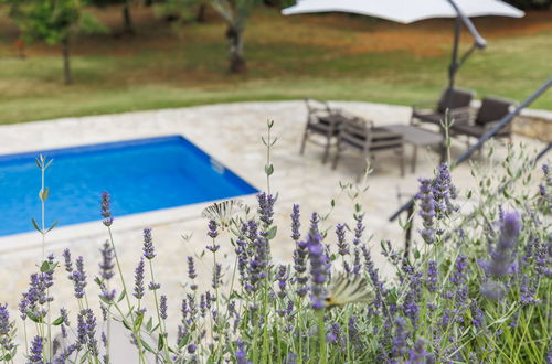 Foto 33 - Casa con 3 camere da letto a Raša con piscina privata e giardino