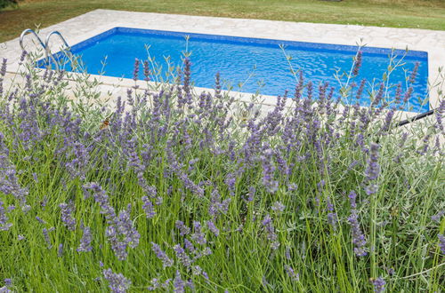 Foto 34 - Casa con 3 camere da letto a Raša con piscina privata e giardino
