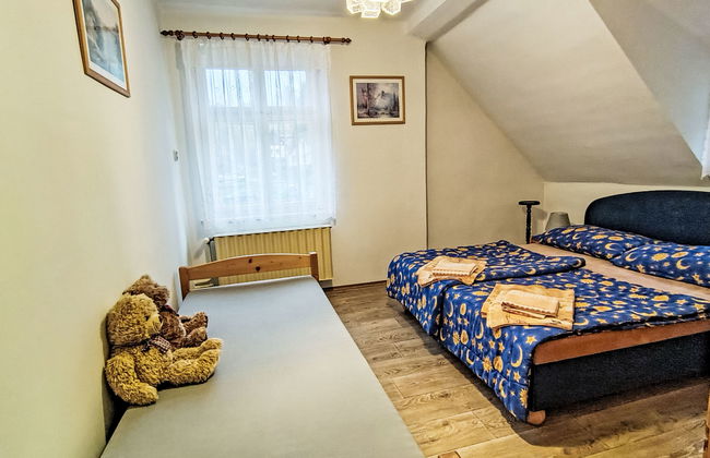 Appartamento con 4 camere da letto a Plavy con piscina privata e giardino - Foto 12