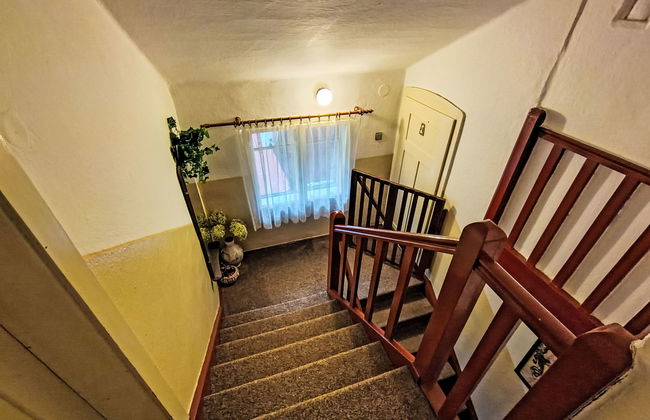 Appartamento con 4 camere da letto a Plavy con piscina privata e giardino - Foto 24