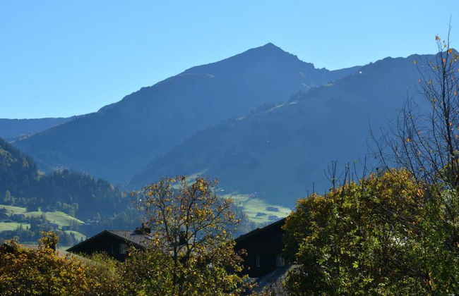Apartamento de 1 quarto em Saanen - Foto 8