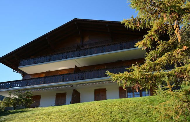Apartamento de 1 quarto em Saanen - Foto 1