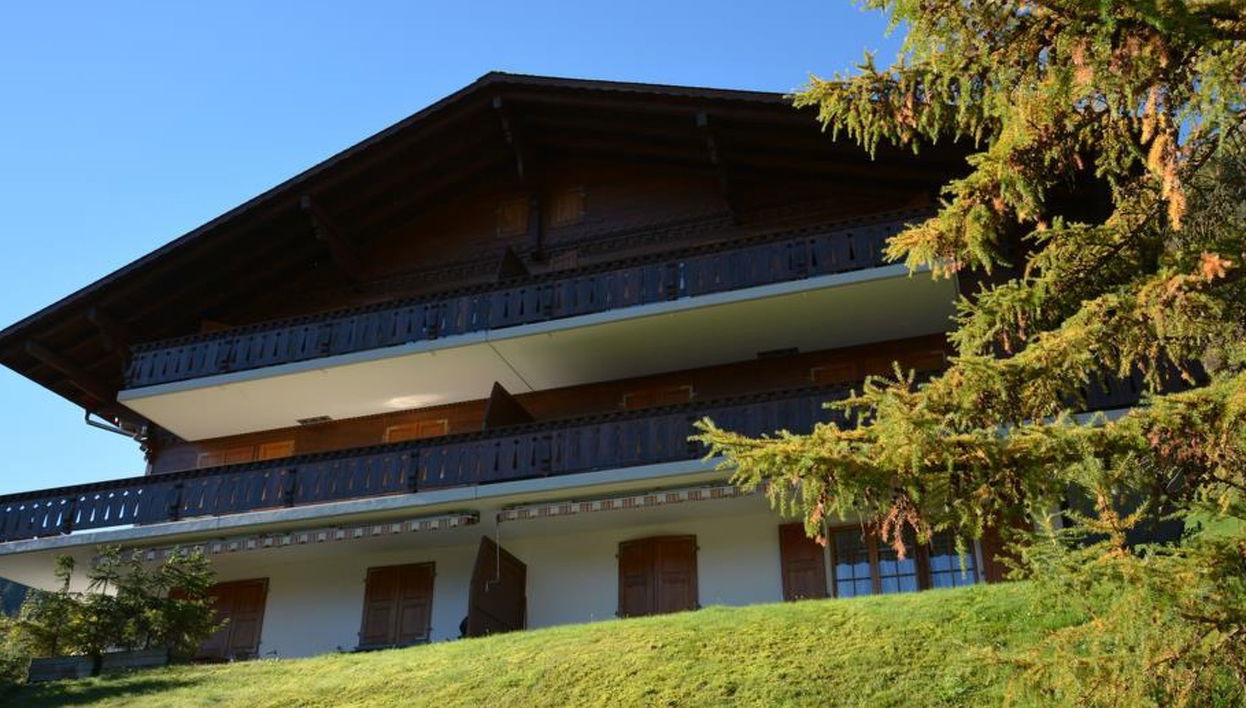 Apartment mit 1 Schlafzimmer in Saanen - Foto 1