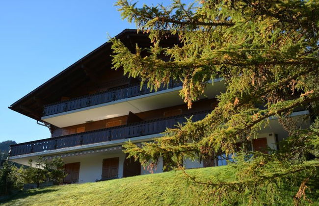 Apartamento de 1 quarto em Saanen - Foto 2