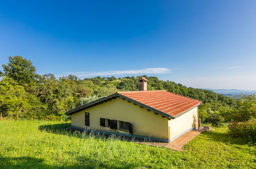 Foto 20 - Casa con 2 camere da letto a Scansano con giardino e vista mare