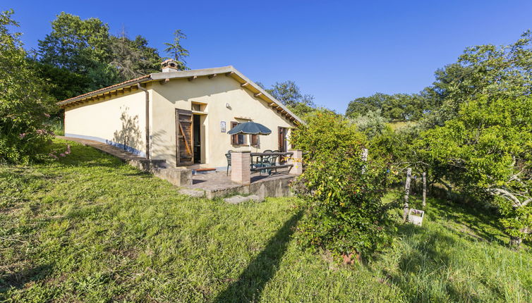 Photo 1 - Maison de 2 chambres à Scansano avec jardin et vues à la mer