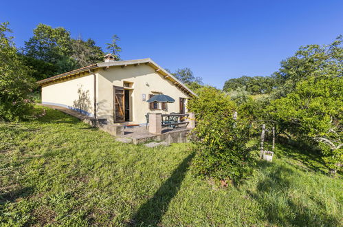 Photo 1 - Maison de 2 chambres à Scansano avec jardin et vues à la mer