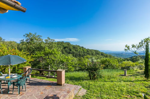 Foto 4 - Casa con 2 camere da letto a Scansano con giardino e terrazza