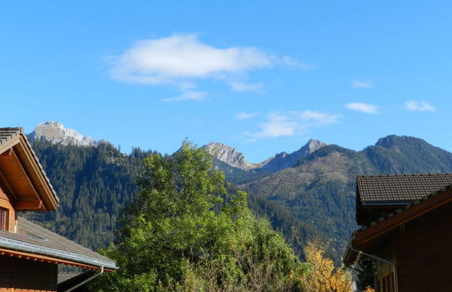 Apartment mit 1 Schlafzimmer in Zweisimmen - Foto 10