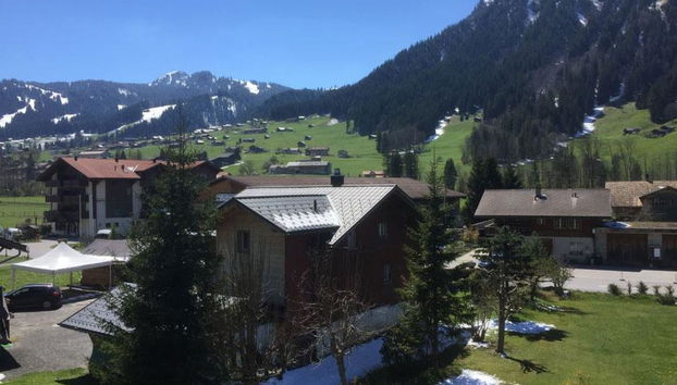 Apartment mit 3 Schlafzimmern in Lenk mit garten und sauna - Foto 5