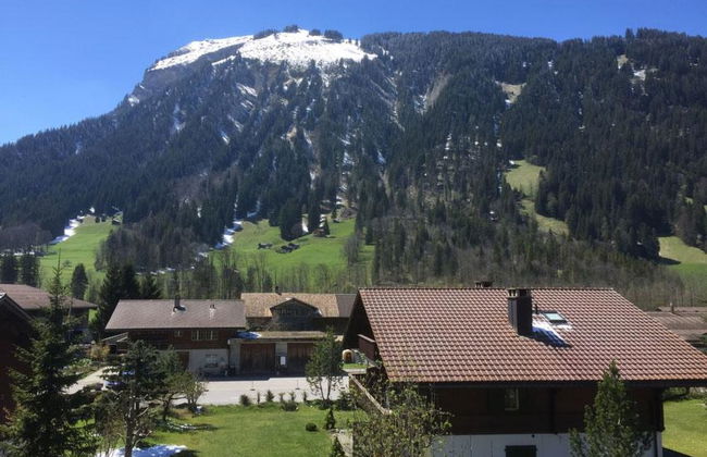Apartamento de 3 quartos em Lenk com jardim e sauna - Foto 8