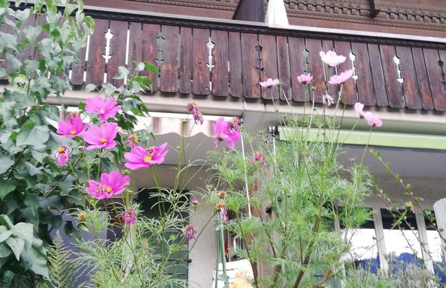 Apartamento de 3 quartos em Lenk com jardim e sauna - Foto 23