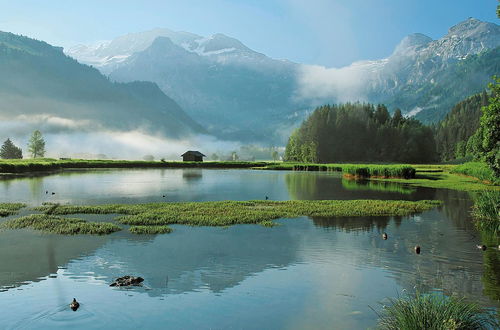 Photo 22 - 3 bedroom Apartment in Lenk with garden and sauna