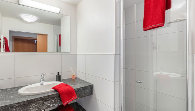 Apartment mit 2 Schlafzimmern in Uttendorf mit garten und terrasse - Foto 5