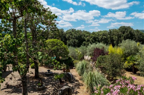 Foto 26 - Casa con 2 camere da letto a Siena con piscina e giardino