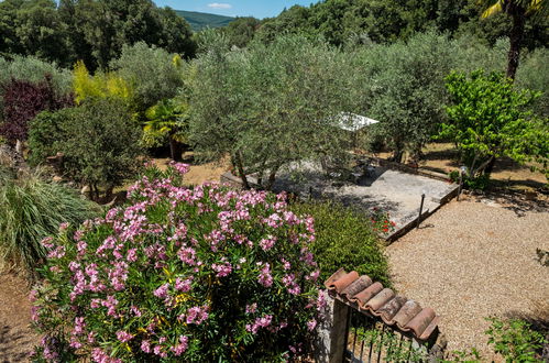 Foto 22 - Casa de 2 quartos em Siena com piscina e jardim