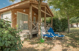 Foto 3 - Casa con 2 camere da letto a Argelès-sur-Mer con piscina e terrazza