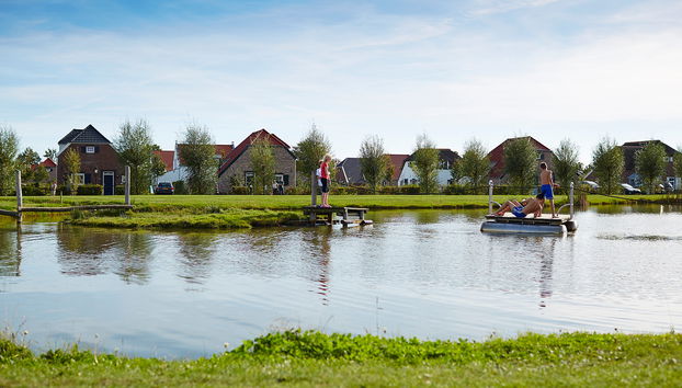 3 bedroom House in Roggel with swimming pool and garden - Photo 3