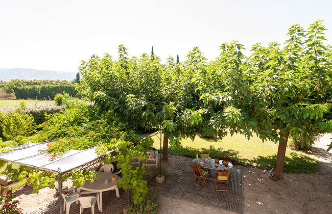 Casa de 2 quartos em Cavaillon com jardim - Foto 17