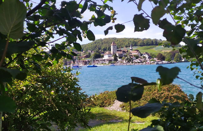 Apartamento de 1 quarto em Spiez - Foto 18