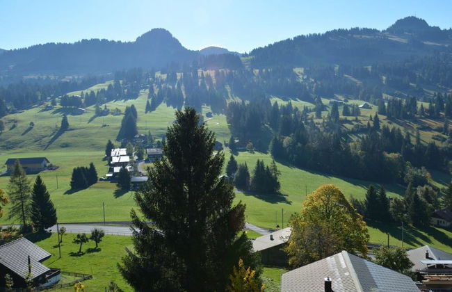 Apartamento de 5 quartos em Saanen - Foto 8
