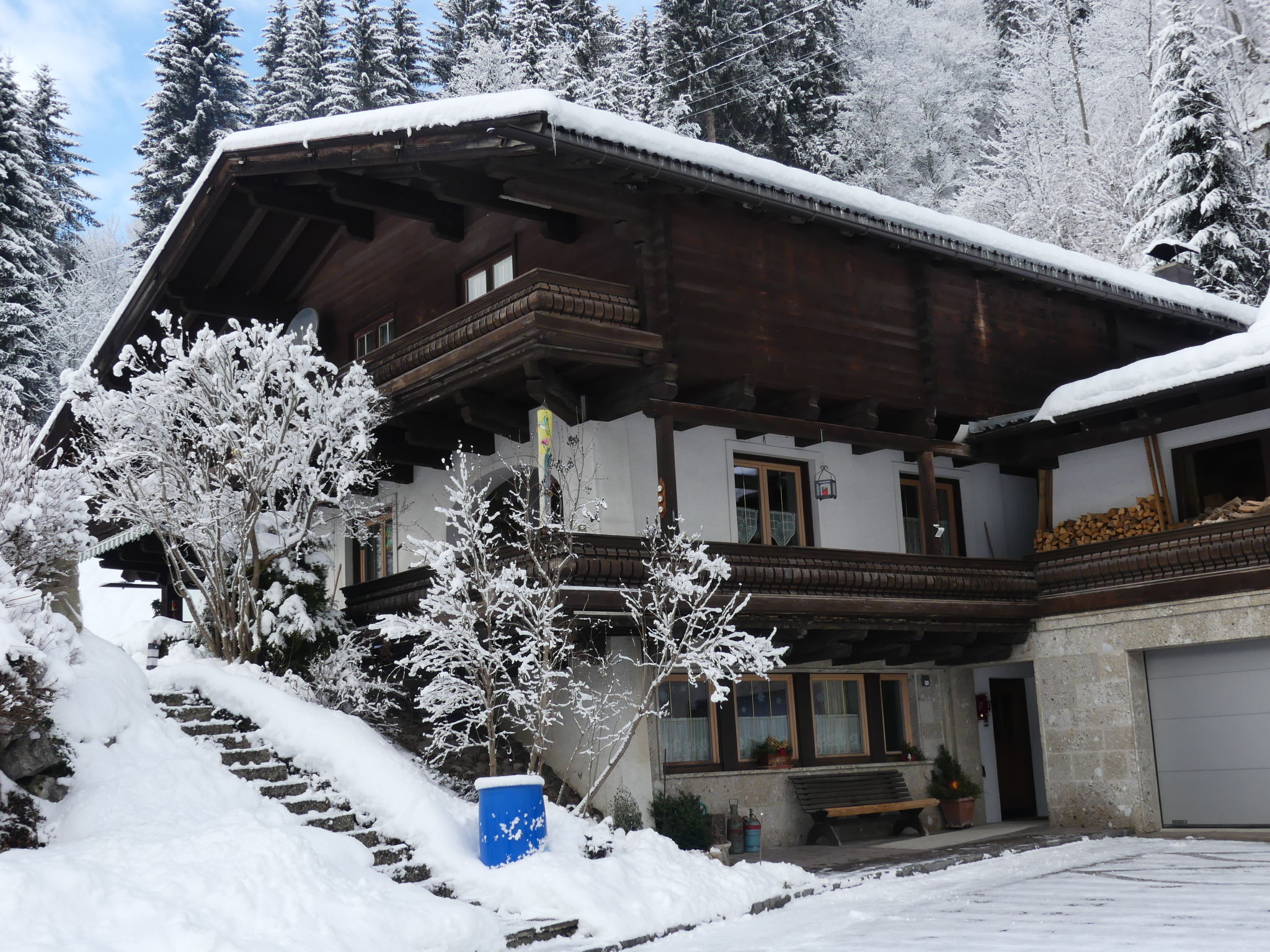 Photo 17 - Appartement de 2 chambres à Viehhofen avec vues sur la montagne