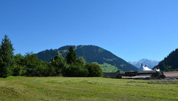 Apartamento de 3 quartos em Saanen - Foto 5