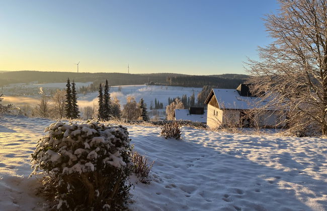Apartamento de 2 quartos em Schonach im Schwarzwald com jardim e terraço - Foto 17
