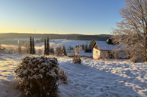 Photo 19 - Appartement de 1 chambre à Schonach im Schwarzwald avec terrasse et vues sur la montagne