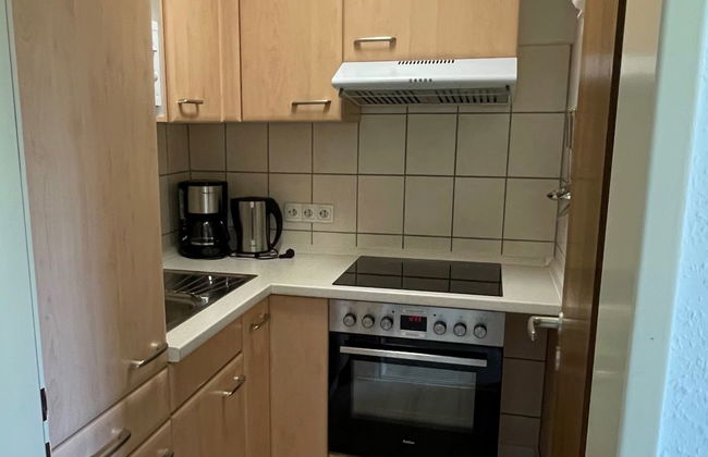 Apartamento de 2 quartos em Schonach im Schwarzwald com jardim e terraço - Foto 11