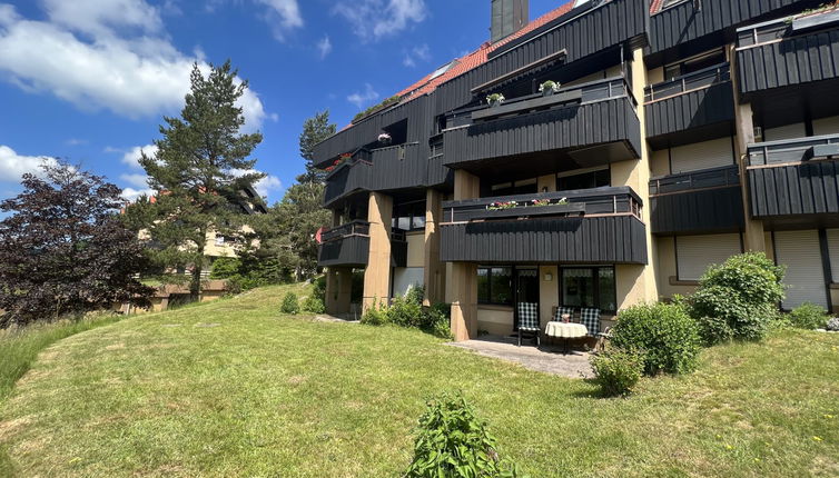 Foto 1 - Apartamento de 1 quarto em Schonach im Schwarzwald com terraço e vista para a montanha