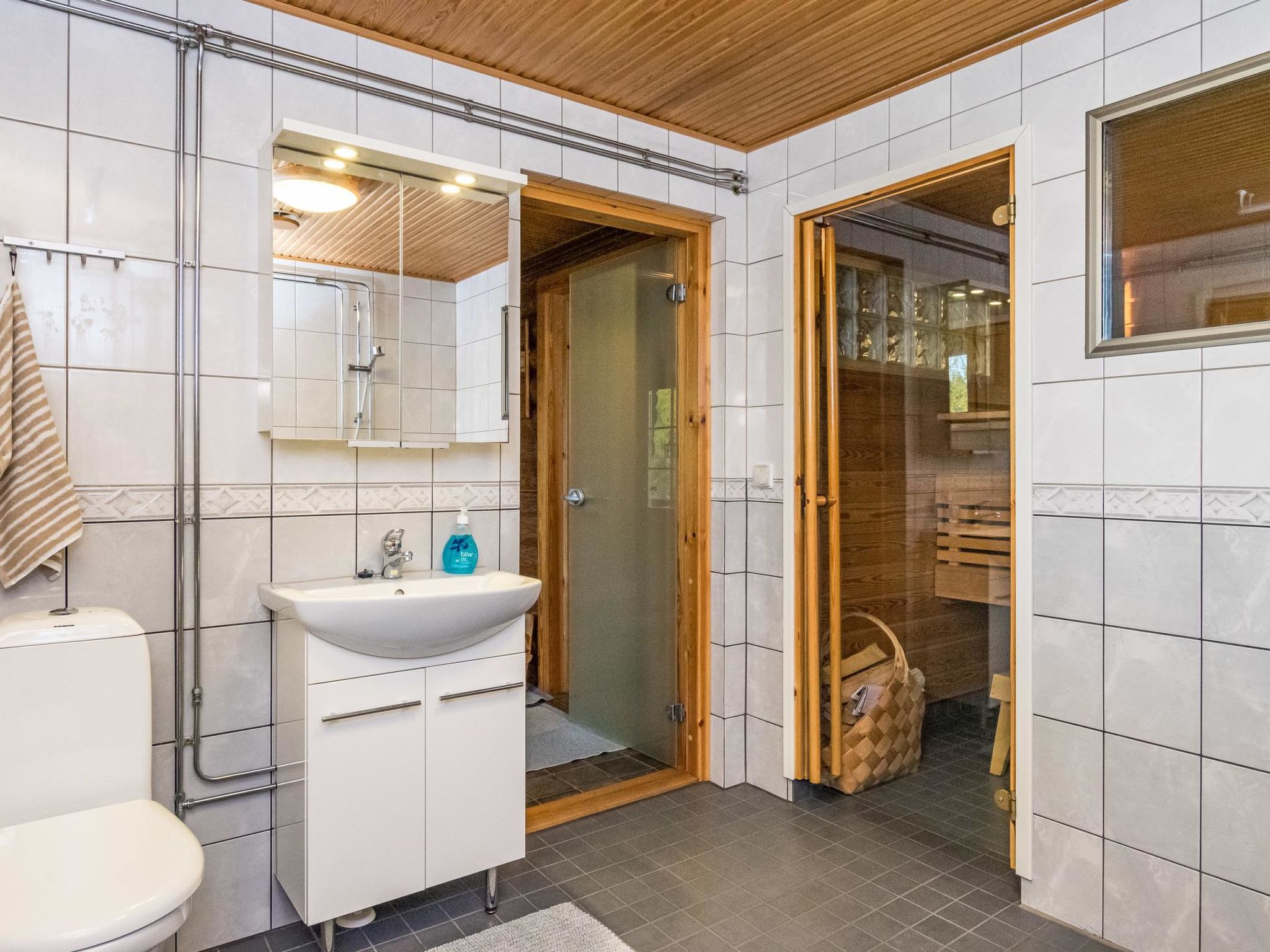 Foto 29 - Casa de 1 habitación en Mikkeli con sauna
