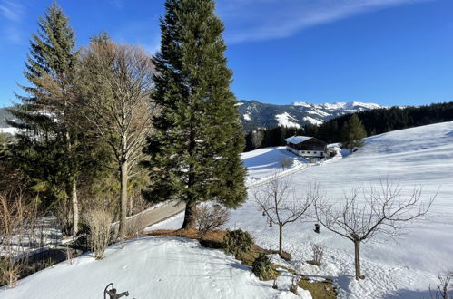 Photo 17 - 1 bedroom Apartment in Wildschönau with garden and mountain view