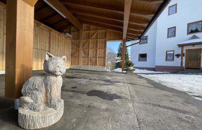 Apartamento de 2 quartos em Wildschönau com jardim e terraço - Foto 23