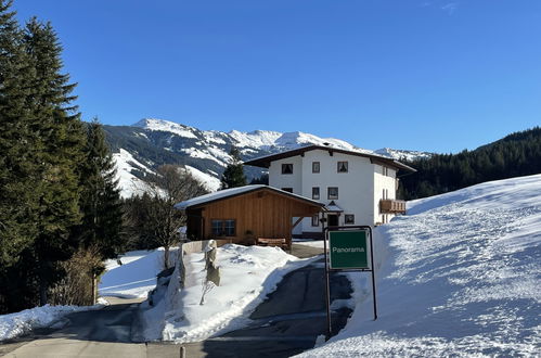 Photo 24 - 1 bedroom Apartment in Wildschönau with garden and mountain view